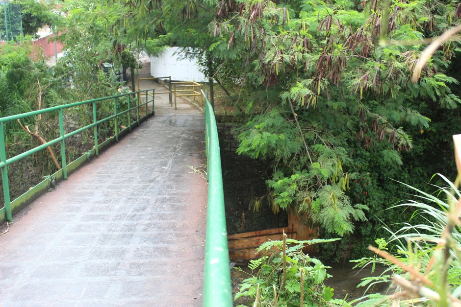 Foto: Divulgação img_8476.jpg