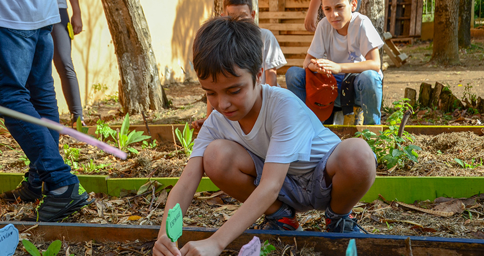 horta-urbana-escola-alvaro-goncalves-06-04-2019-lucas-cabral-06.jpg