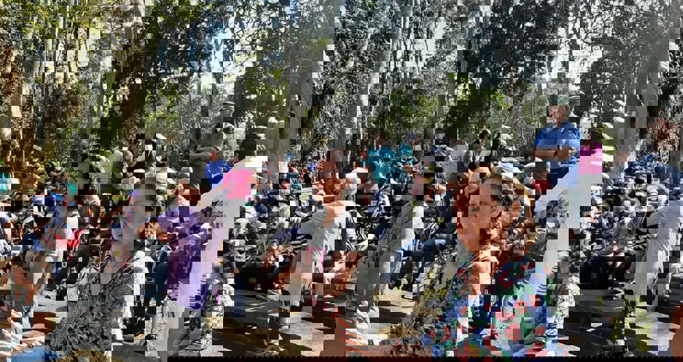 casadoidoso33.jpeg