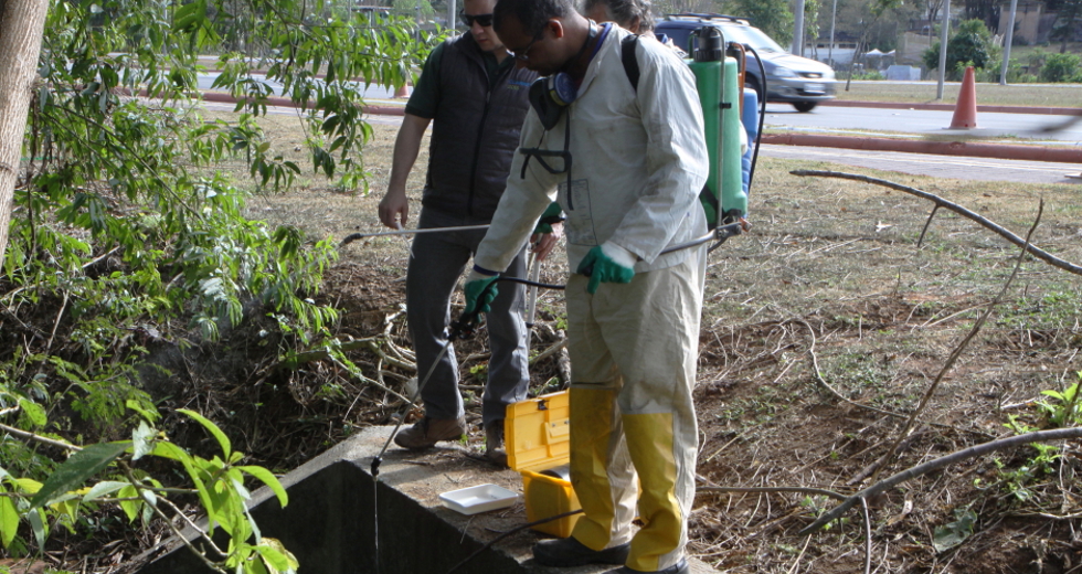 combate_pulverizac-a-o_dengue10-beto_faria.jpg