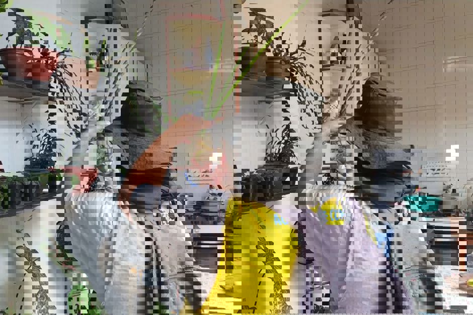 Foto: Divulgação dengue1.jpeg