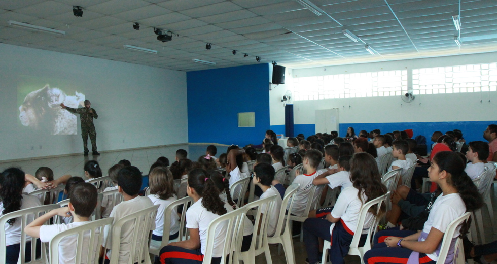 responsabilidade-ambiental-emef-vera-babo-17.jpg