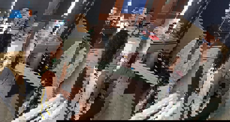 basq1.jpg