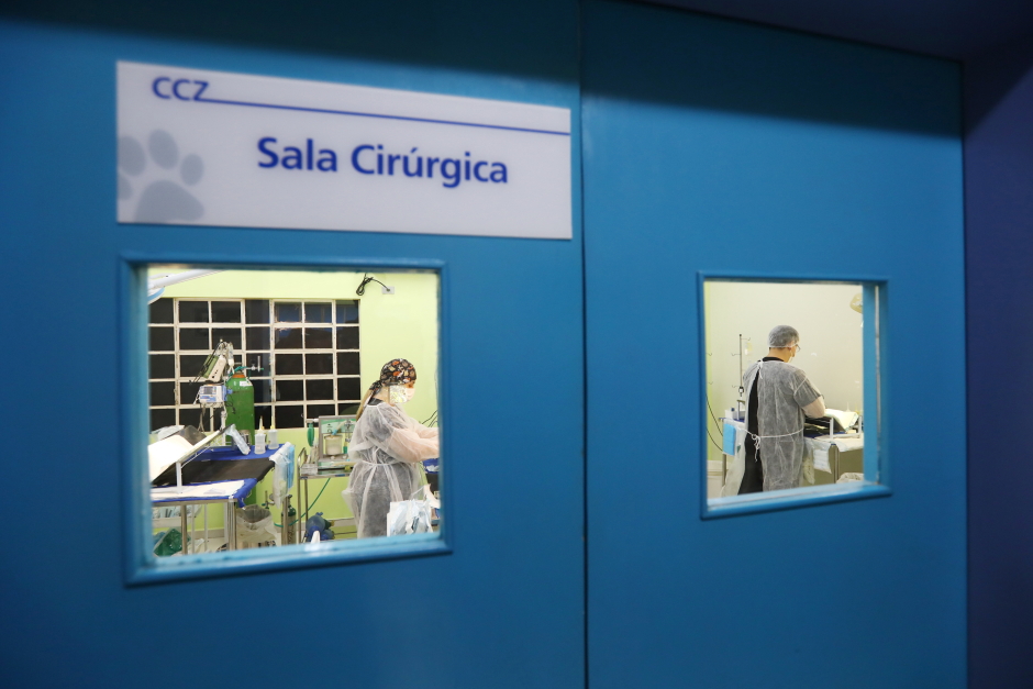 img_9266_claudio_vieira.jpg
