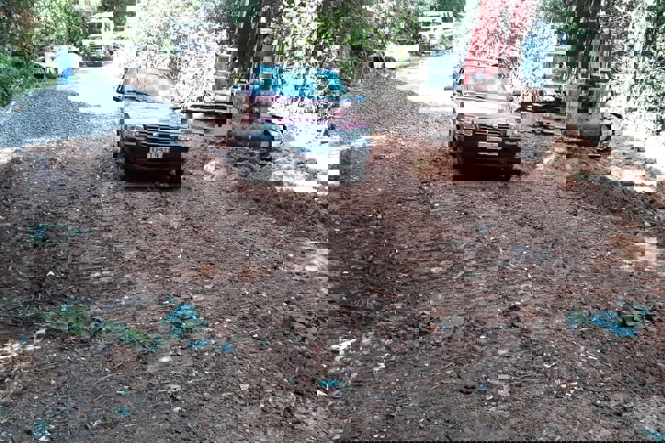 fbb9b8c2-0d8d-42ae-a917-ff41f3d56d1a.jpg