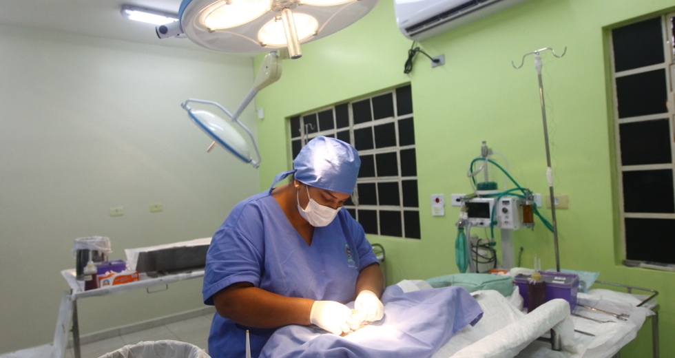 cv__6703_claudio_vieira.jpg