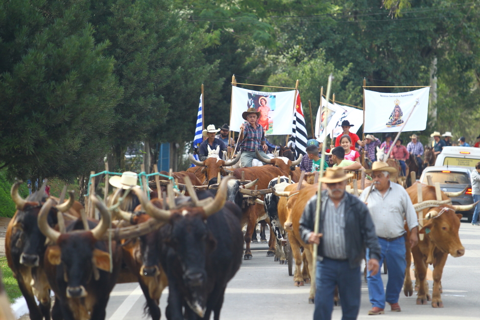 cv__4678-claudio_vieira.jpg