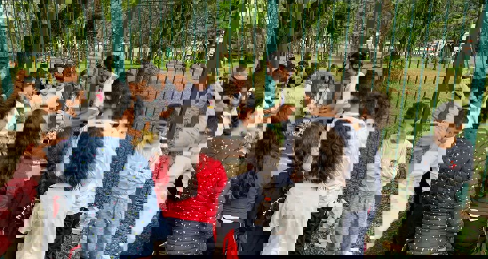 5a0e26d0-e795-40de-848f-e762bbf0ef26.jpg