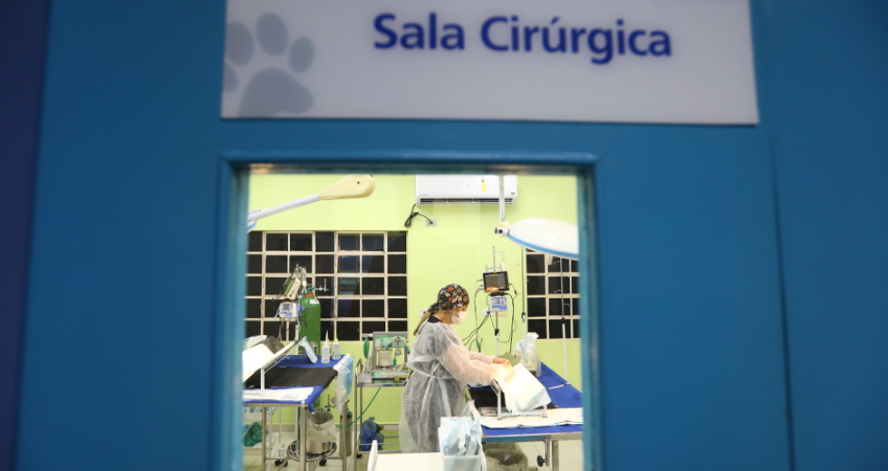 img_9239_claudio_vieira.jpg
