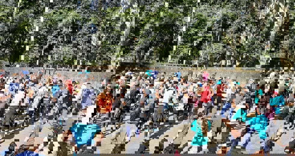 casadoidoso59.jpeg