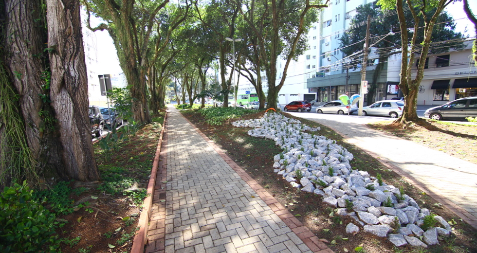 cv__6764_claudio_vieira.jpg