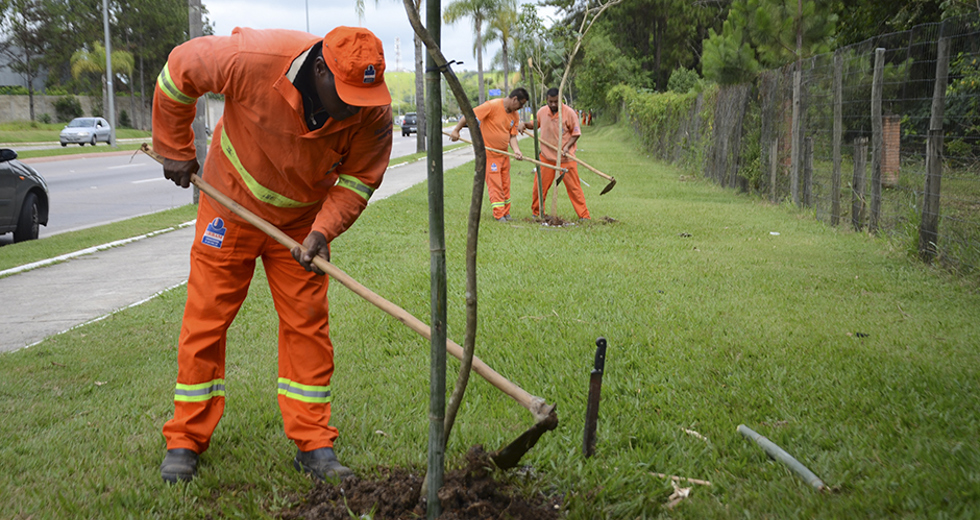 plantio-de-arvores-via-norte-20-12-2019-lucas-cabral-16.jpg