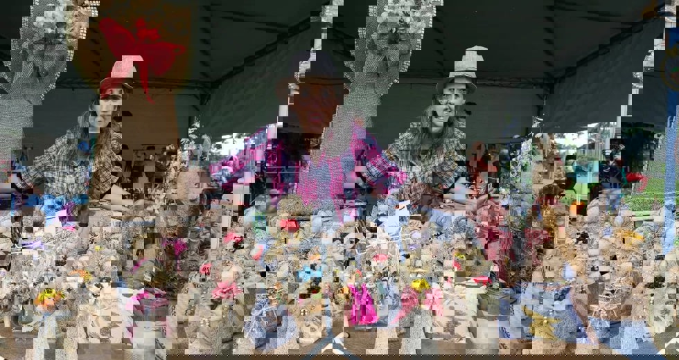 491519250_18347691433158927_7991264785807317949_n.jpg