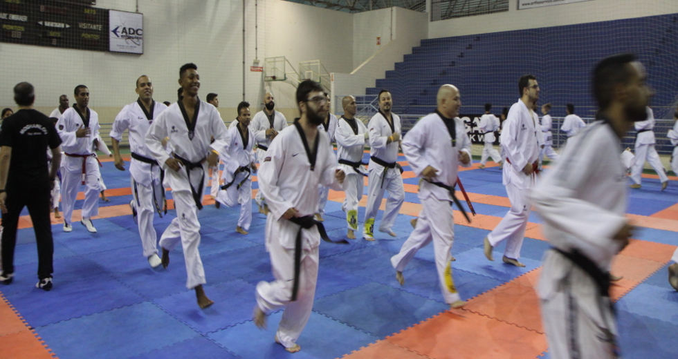 3_training_camp_taekwondo_embraeimg_6797beto_faria.jpg