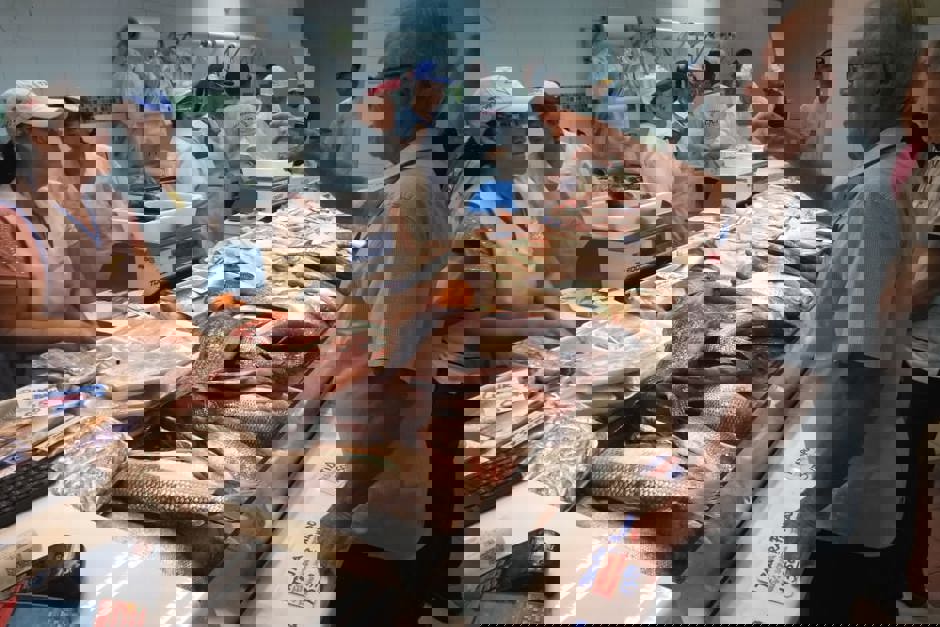 13469921-4e27-4288-9803-e861958c7fd7-1.jpg
