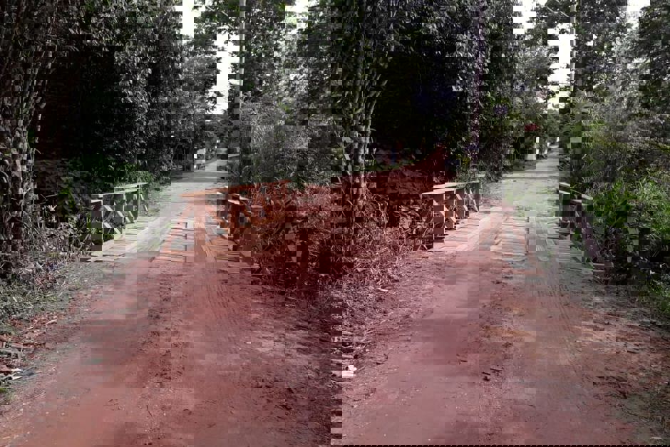 Foto: Divulgação ponte-jardim-pernambucano.jpg