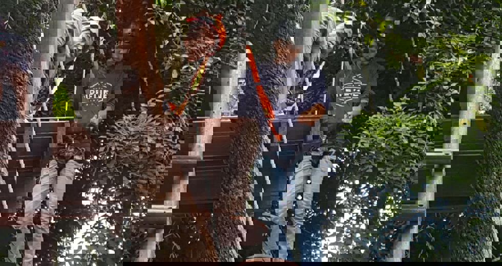 tirolesa-4.jpeg