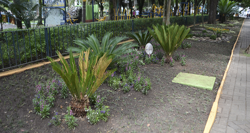 paisagismo-parque-santos-dumont-12-12-2019-lucas-cabral-11.jpg