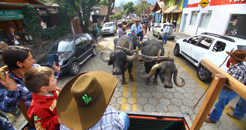 cv__4759-claudio_vieira.jpg