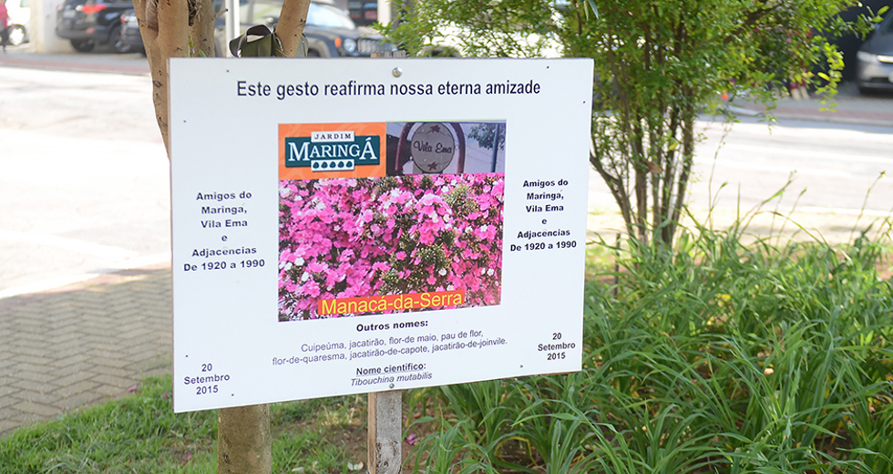 praca-pedro-americo-jardim-maringa-11-09-2019-lucas-cabral-01.jpg