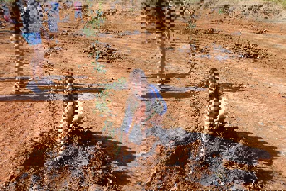 Foto: Divulgação vista-verde-14.jpeg