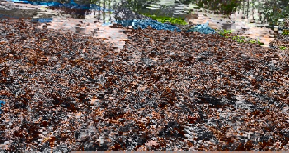 compostagem-1.jpeg