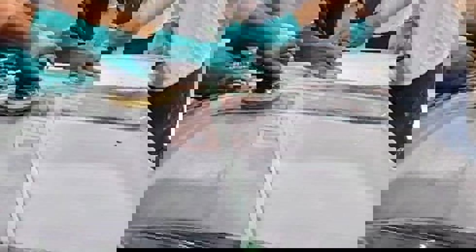 parceria-veibras-e-fundhas-25.jpeg
