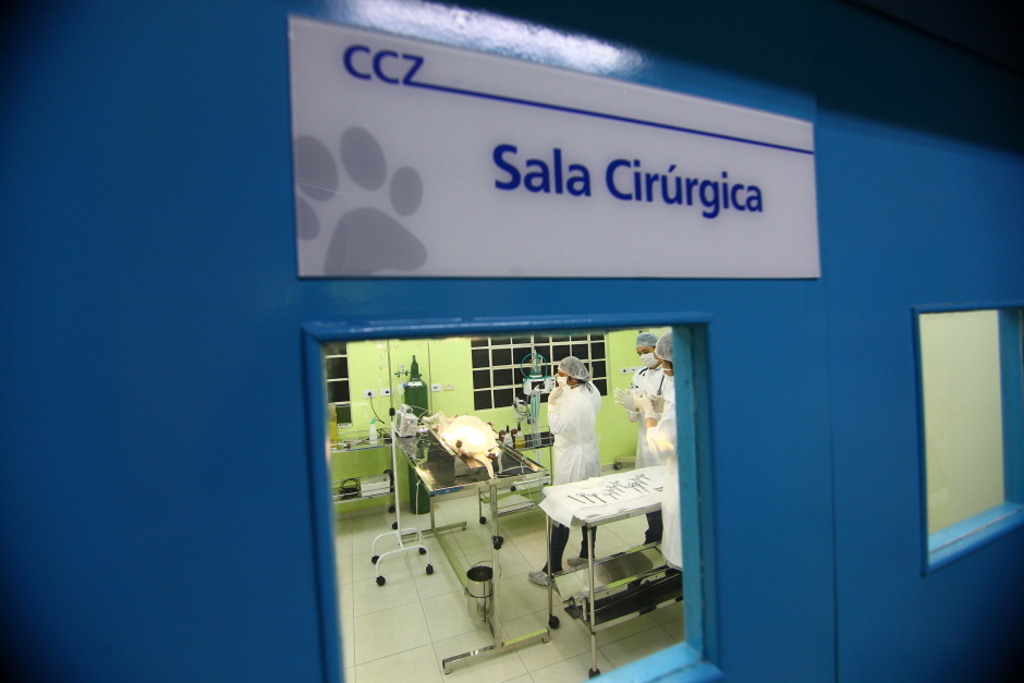 cv__0928-claudio_vieira.jpg