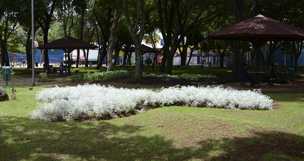 paisagismo-parque-santos-dumont-12-12-2019-lucas-cabral-01.jpg