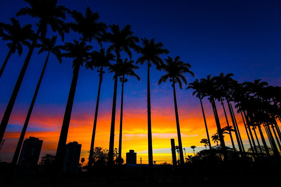 parque_da_cidade-010-claudio_vieira.jpg