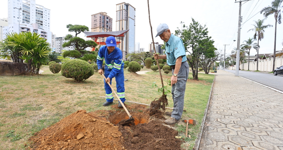 Plantio no jardim do Tori com comunidade japonesa. Foto: Claudio Vieira/PMSJC 04-10-2025