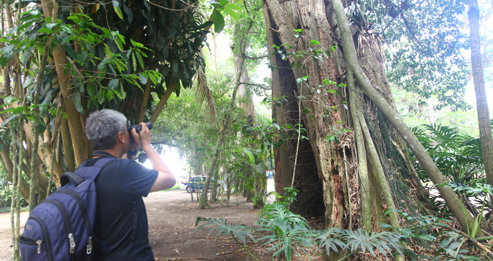 cv__4409_claudio_vieira.jpg