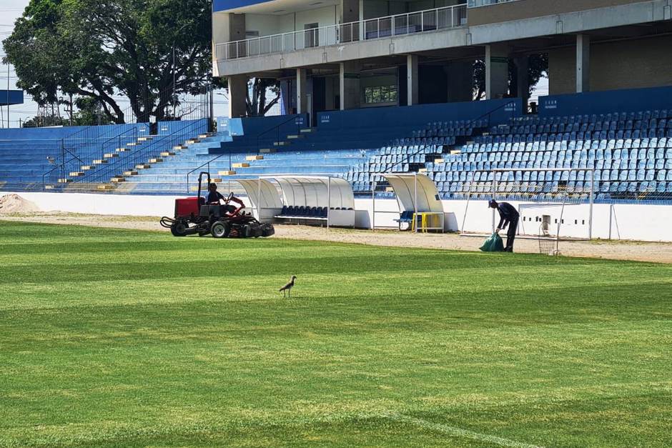 preparacao-copinha-5.jpg