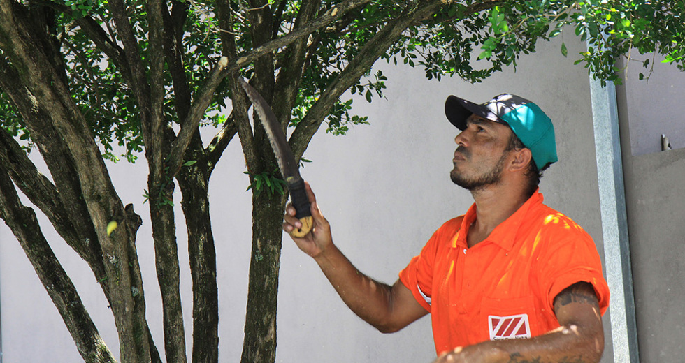 poda_de_arvores-08_beto_freitas.jpg
