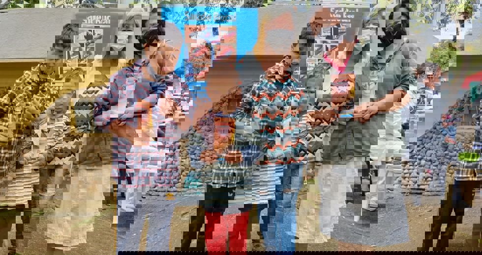 sfx-1.jpeg