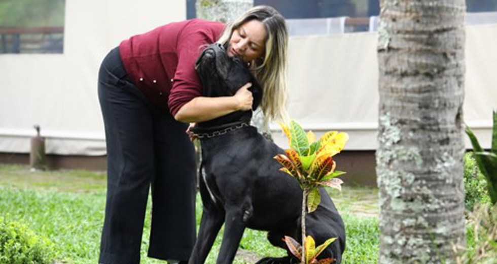 40ª fase do Meu Pet Feliz