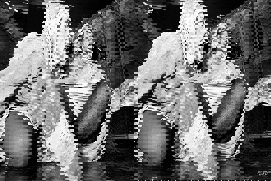 19961181_1767828659896685_3917052431641551308_n.jpg
