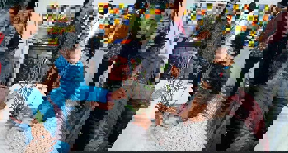 whatsapp-image-2018-06-08-at-124149-1.jpeg