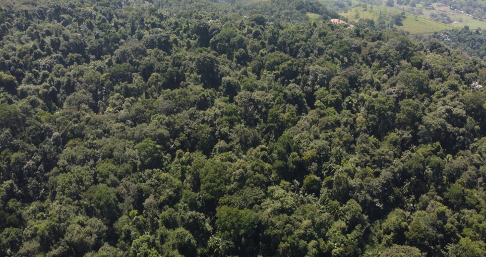 dji_0880_claudio_vieira.jpg