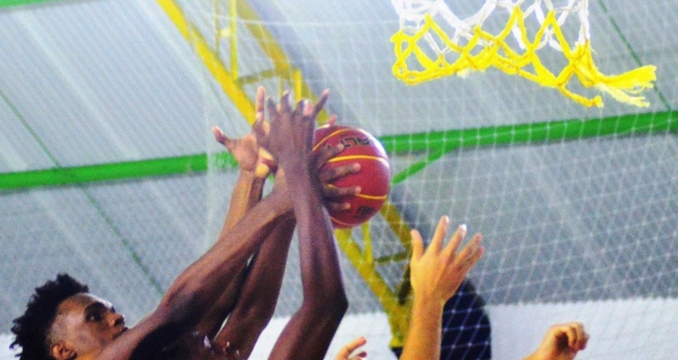 tmf_9755.jpg
