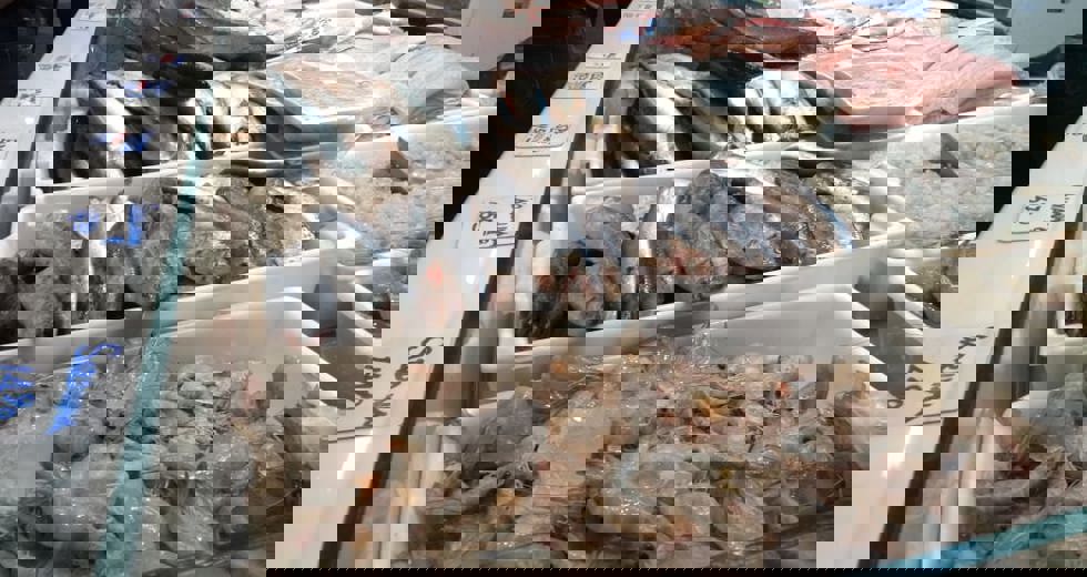 8ada0797-3168-49b1-a8c1-5eeb79b08d9a.jpg