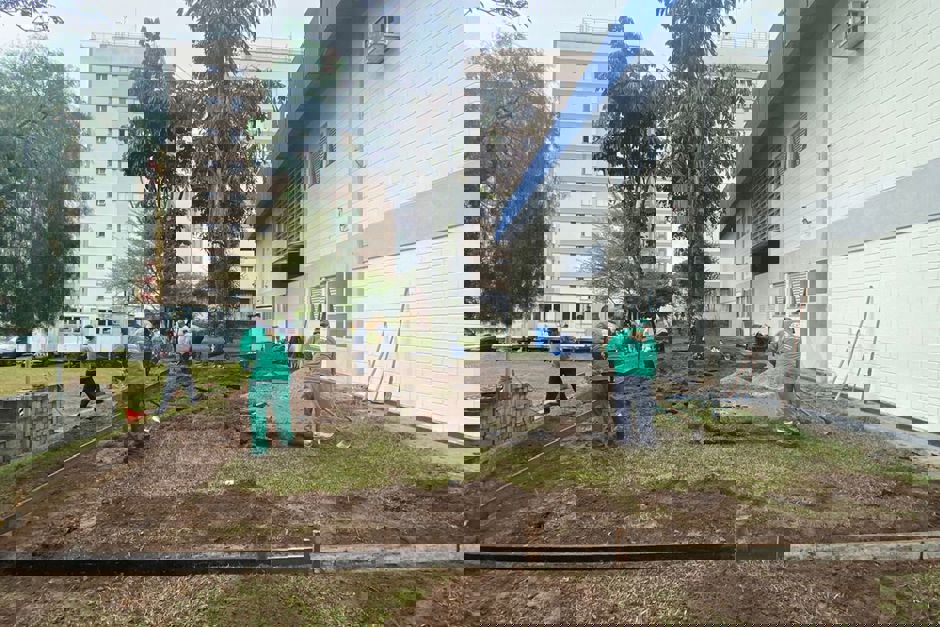 obras-cephas.jpeg