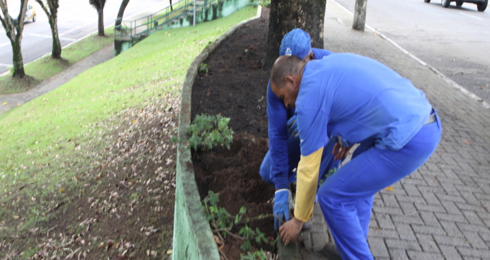 plantio_flores_jardineira_06beto_faria.jpg