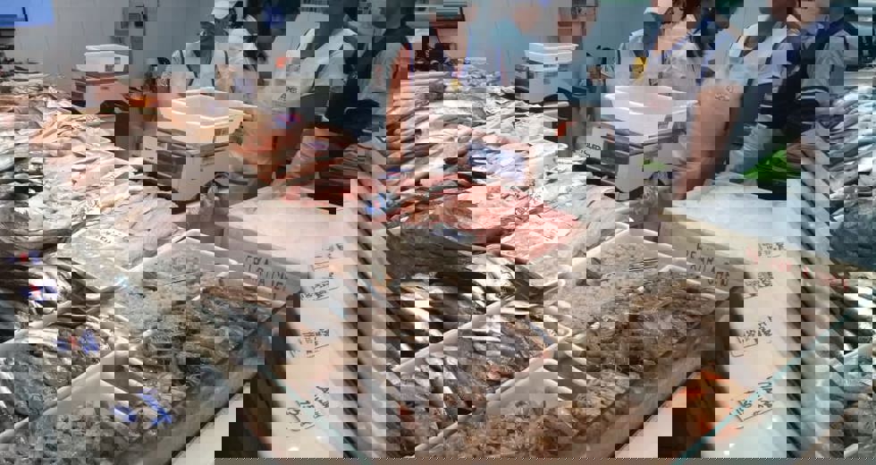 1448d09d-d7e3-43df-bc47-e4cf0463becc.jpg