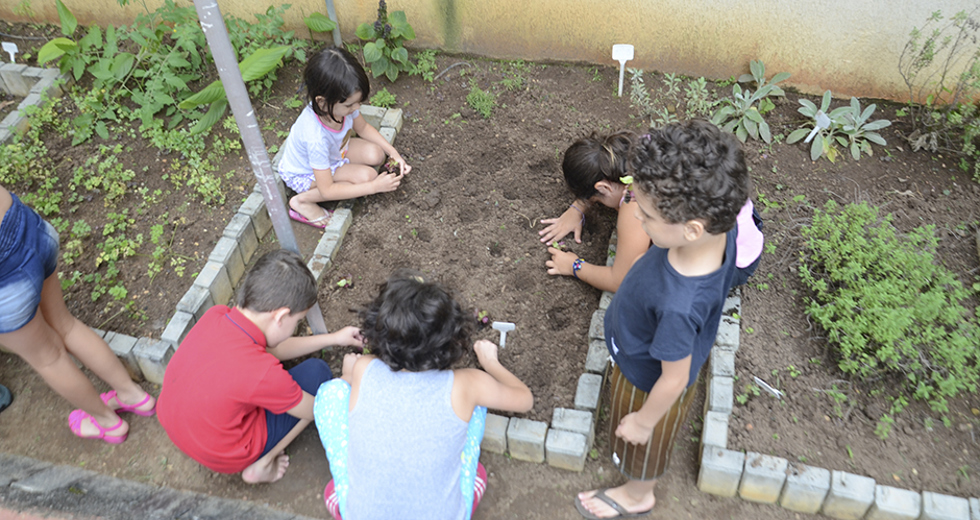 cultivo-de-hortas-e-composteira-12-12-2019-lucas-cabral-08.jpg
