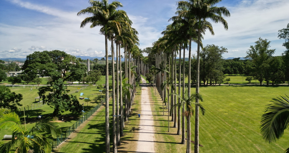 dji_0175.jpg