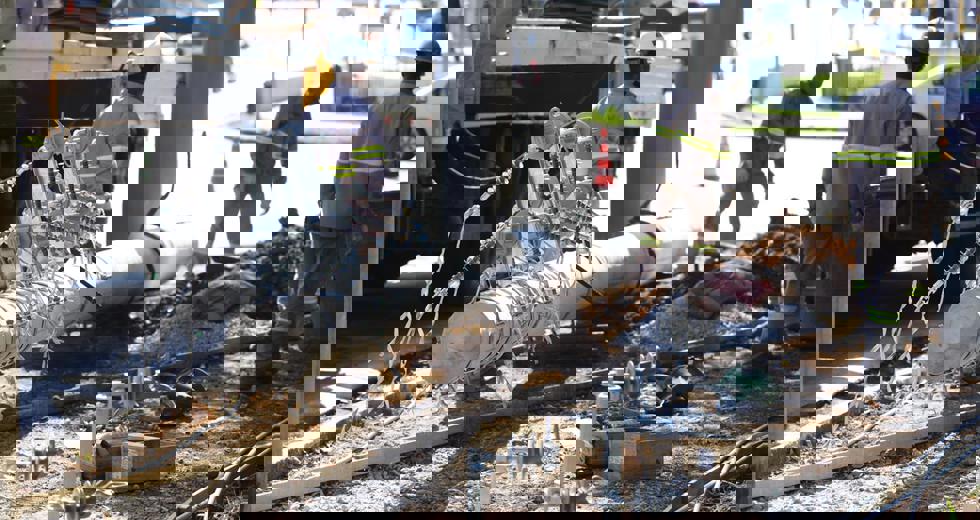 lineu10.jpeg