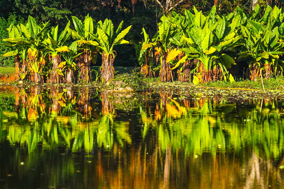 parque_da_cidade-006-claudio_vieira.jpg