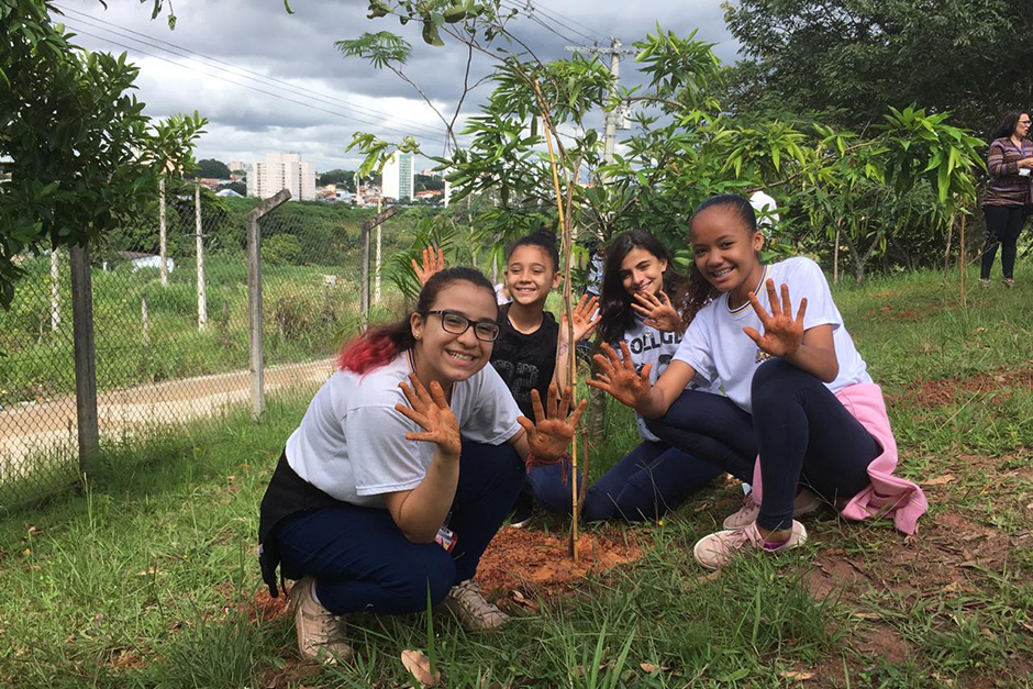 Foto: Divulgação plantio-vista-linda-22-03-2019-priscila-04.jpeg