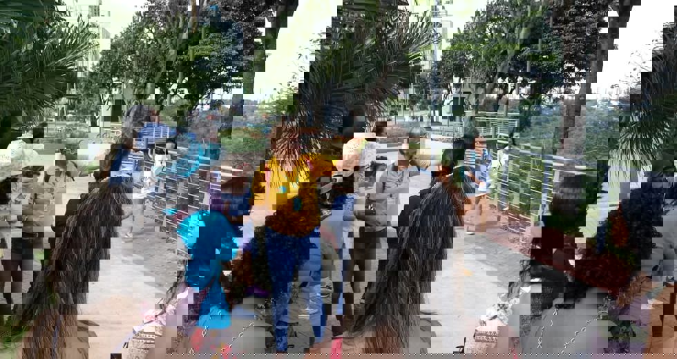 walkingtour-4.jpeg